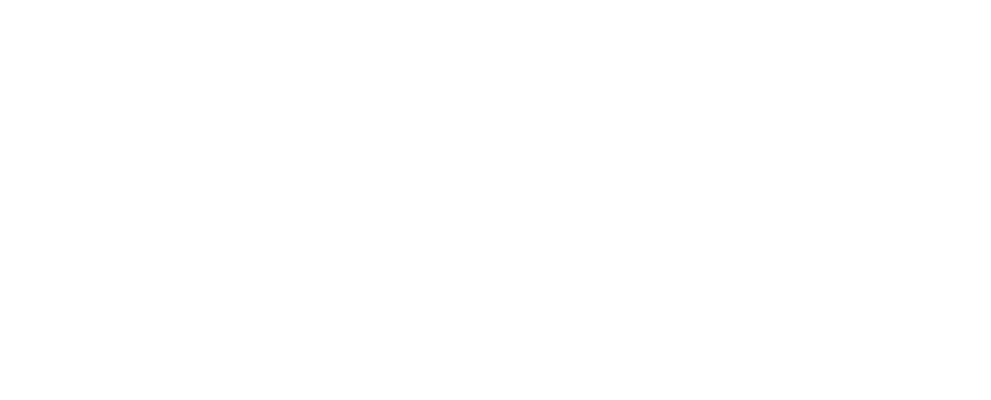 Logo white
